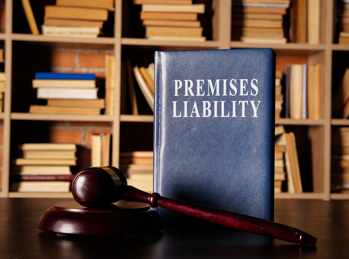 Evidence proving defendant’s liability in premises cases